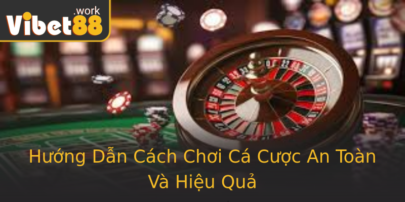 Hướng Dẫn Cách Chơi Cá Cược An Toàn Và Hiệu Quả