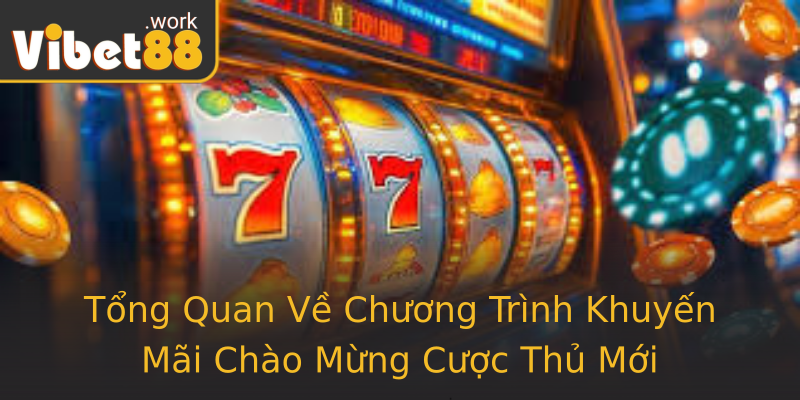 Tổng Quan Về Chương Trình Khuyến Mãi Chào Mừng Cược Thủ Mới